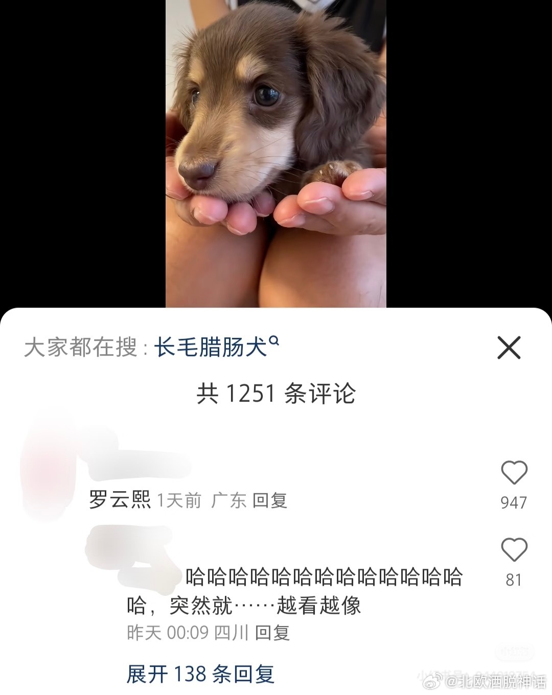 眉清目秀的小抖，又被说长得像罗云熙了但素好可爱，长毛腊肠不止一次被说像了，说实话