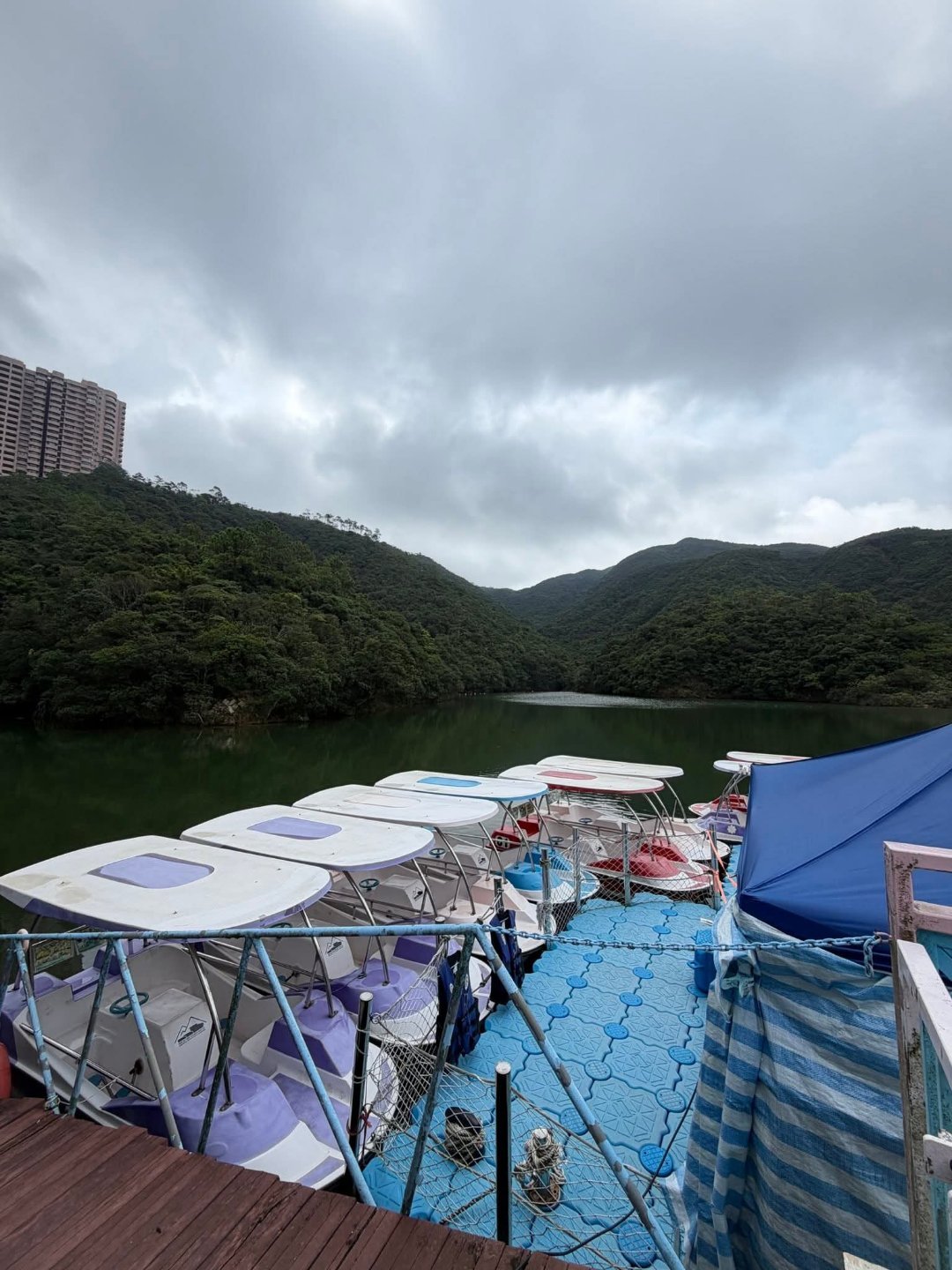 阳光信用有了夢想，就應該迅速有力地實施。毫不猶豫儘快拿出行動，為夢想的實現創造條