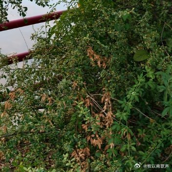 路走不通就拐个弯，人不对付时就转个身，心里憋屈就看淡点，感情淡了就随它去。事儿难