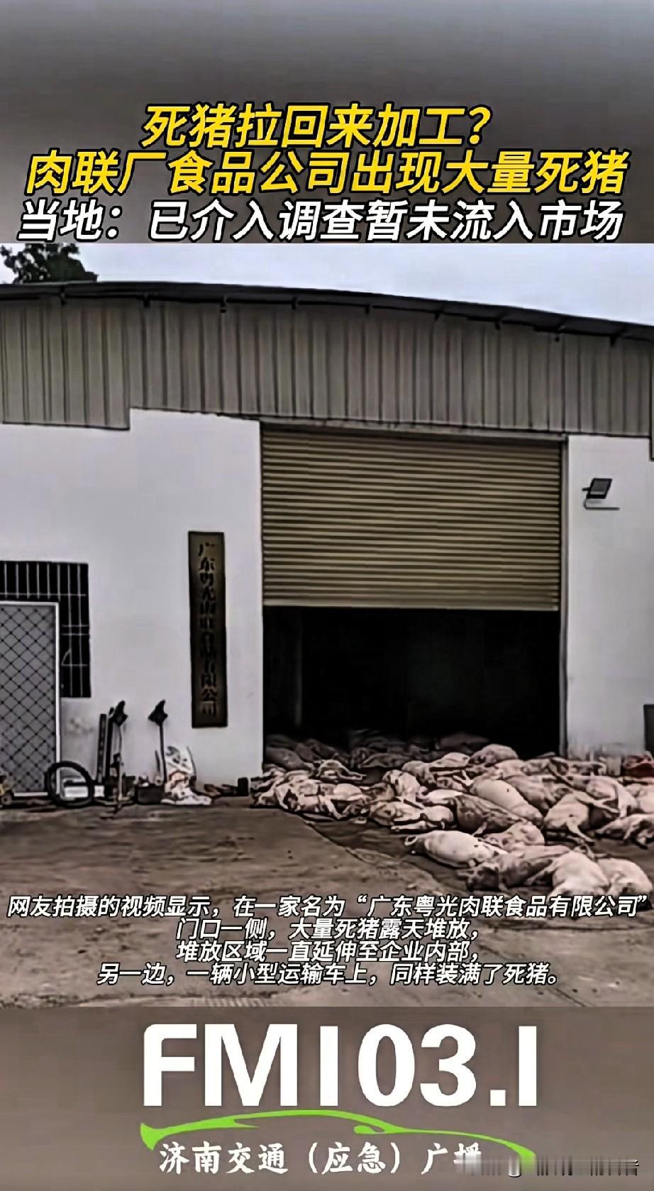 太让人后怕了！要不是有人偷偷举报，这批问题猪肉可能已经悄悄流进了咱们的餐桌……