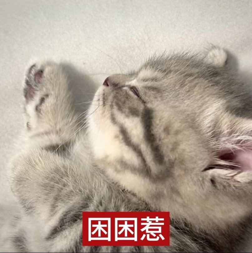 碎觉 