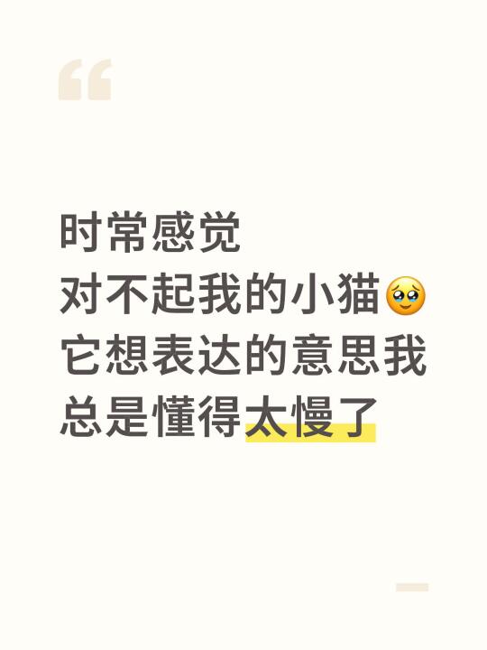 小猫要是会说话就好了
