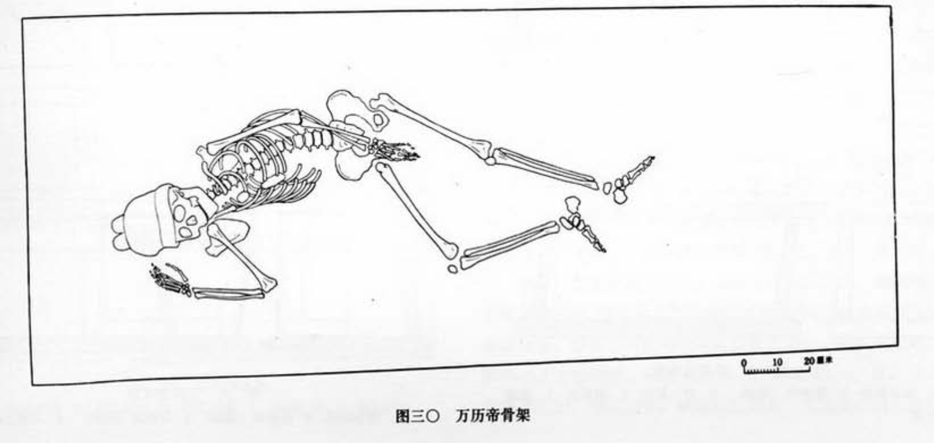 明定陵考古报告中的万历皇帝后妃遗骨示意图。三位的姿势都不一样，不清楚是特殊葬制，
