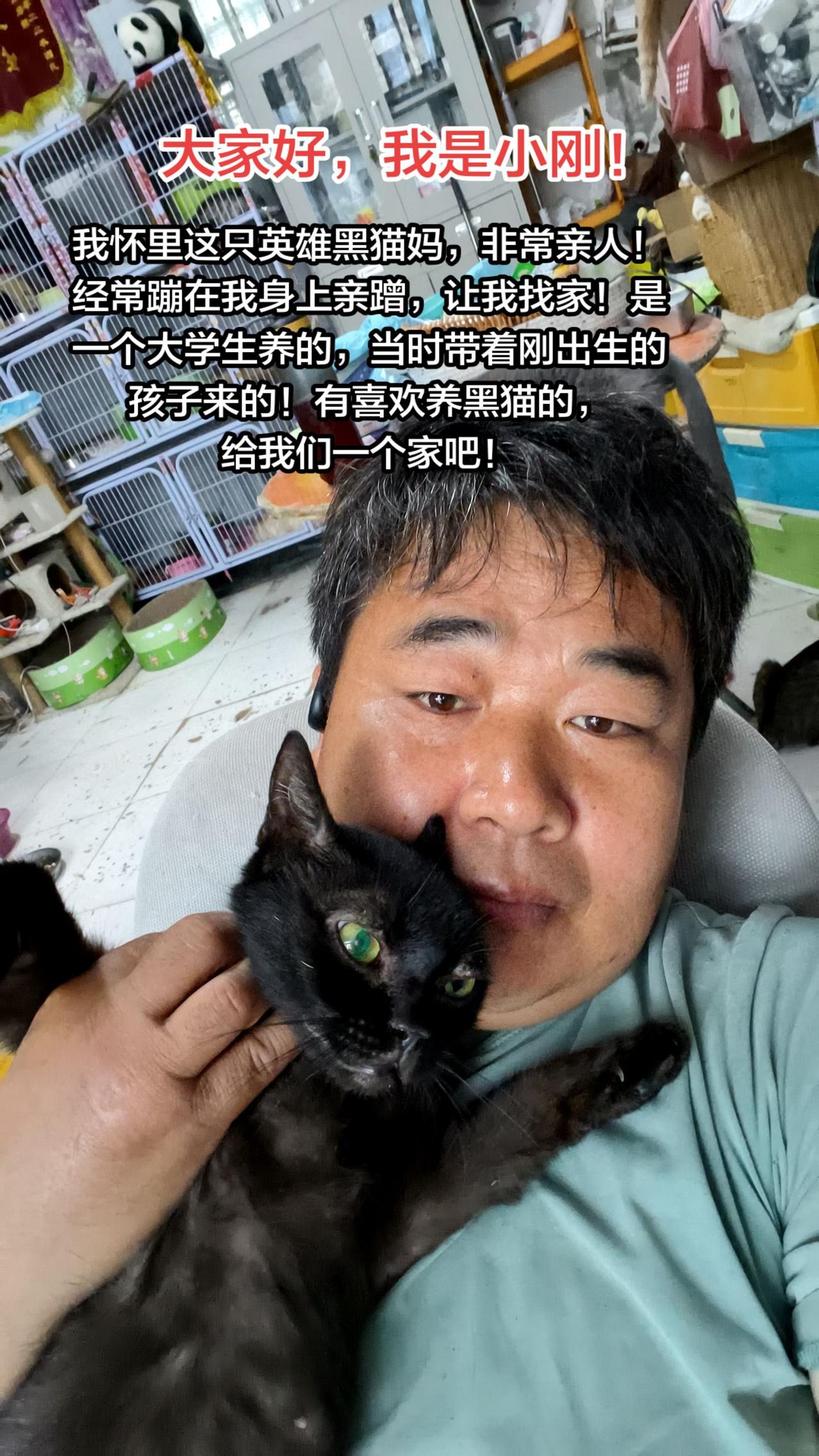 如果你需要一只每天都主动蹦到你怀里亲蹭的黑猫，这只黑猫太亲人了，很有灵性的！给我