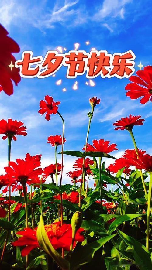 七夕，七惜，人人记住
一惜父母，感念养育之恩
二惜爱人，感恩昼夜相伴
三惜手足，