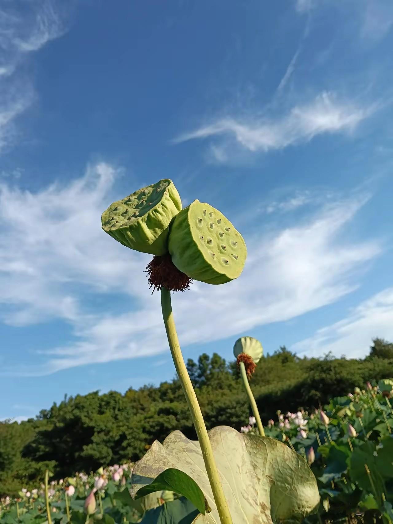 失去和得到同时存在。