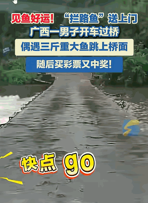 “这就是命啊！”9月9日，广西桂林，一男子开车过桥，突然，一条3斤重的大鱼从河里