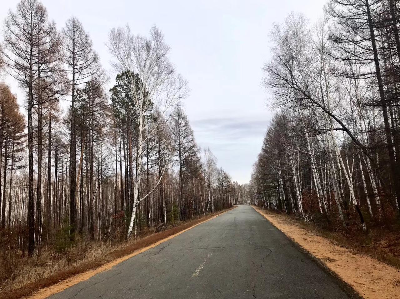 一叶坠地，先是擦过斜阳，
把那片金黄镀得透亮。
又乘着晚风，打了几个旋儿，
这才