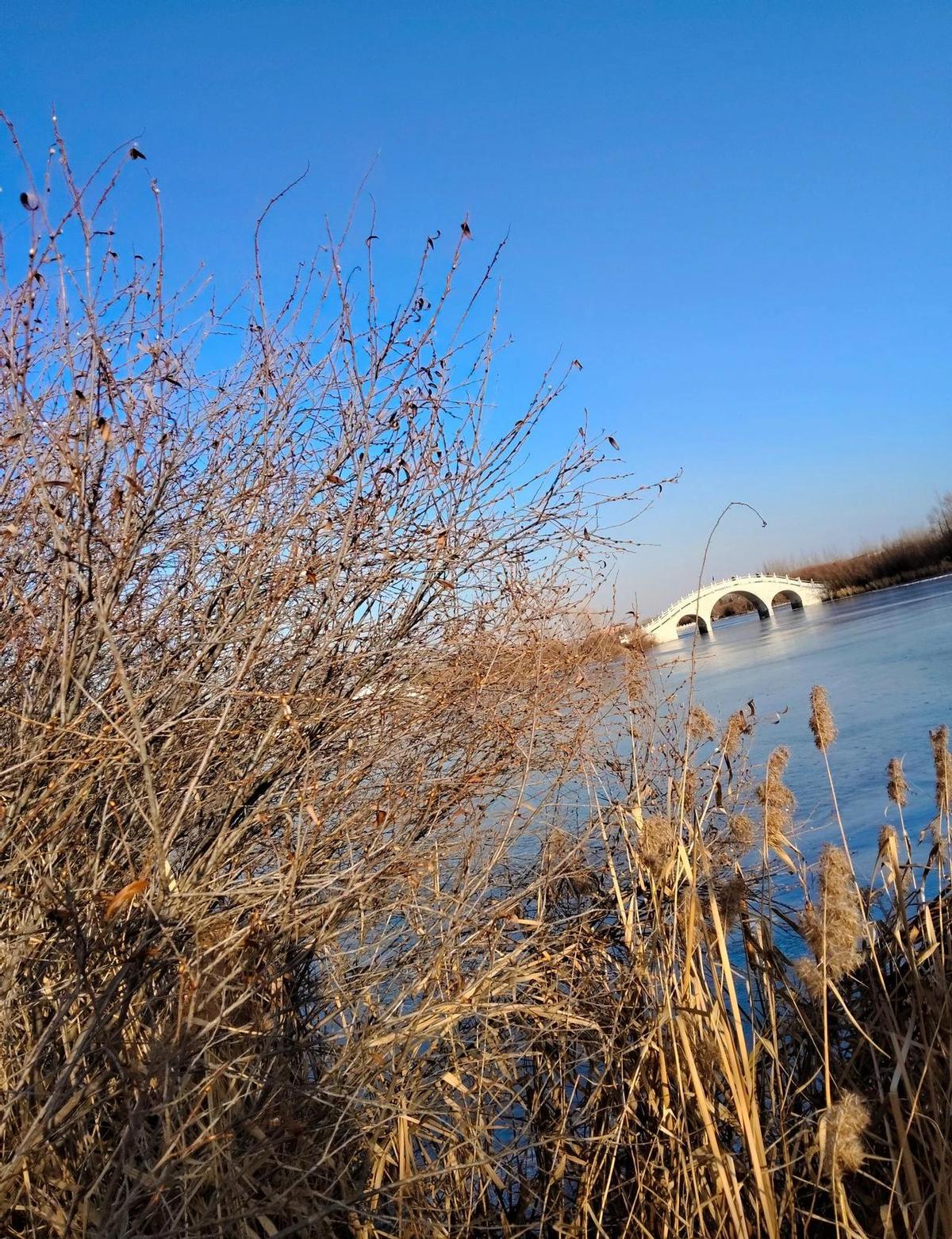 早上没客户，心里空落落的。
下午订单一个接一个，忙得脚不沾地。
晚上看夕阳，突然