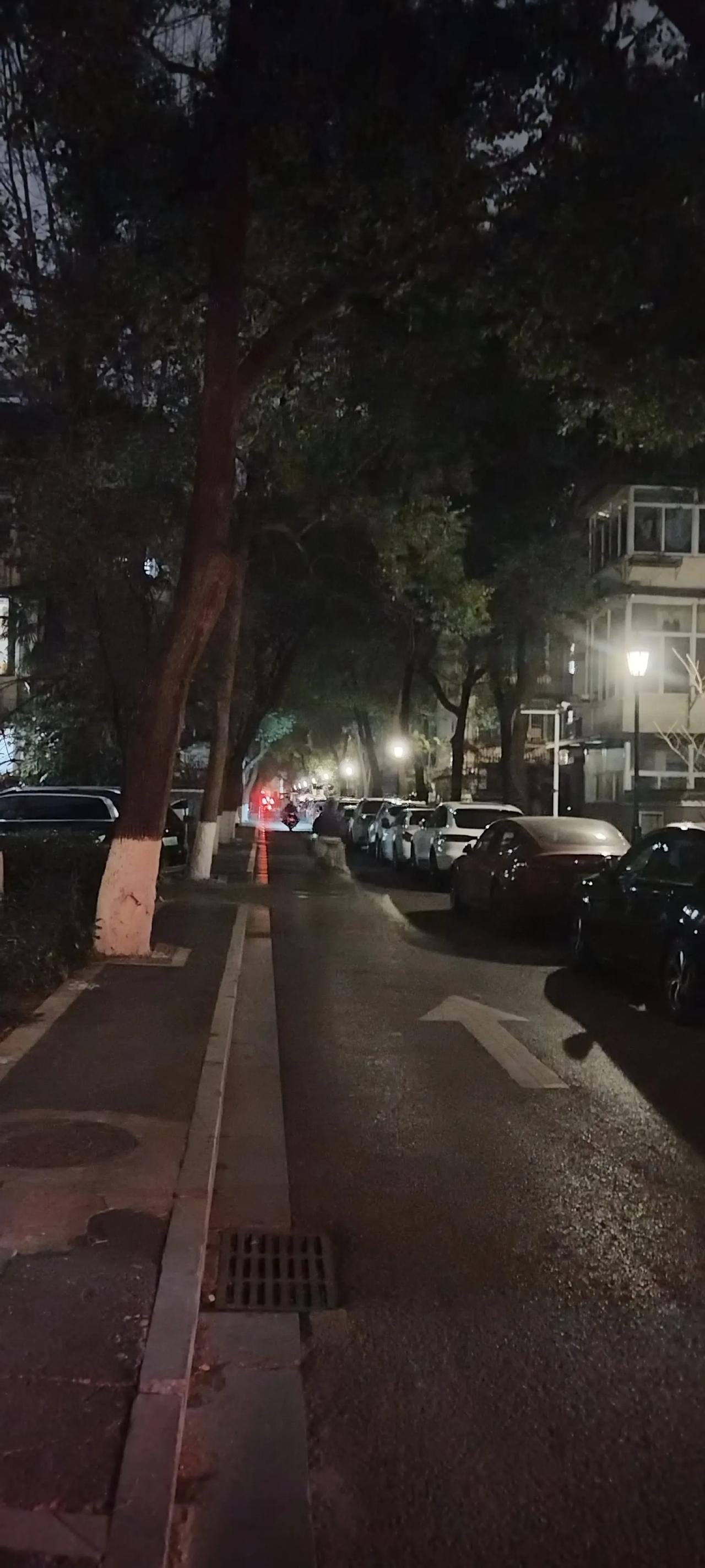 市政府宿舍单行道的路边上停满了车。