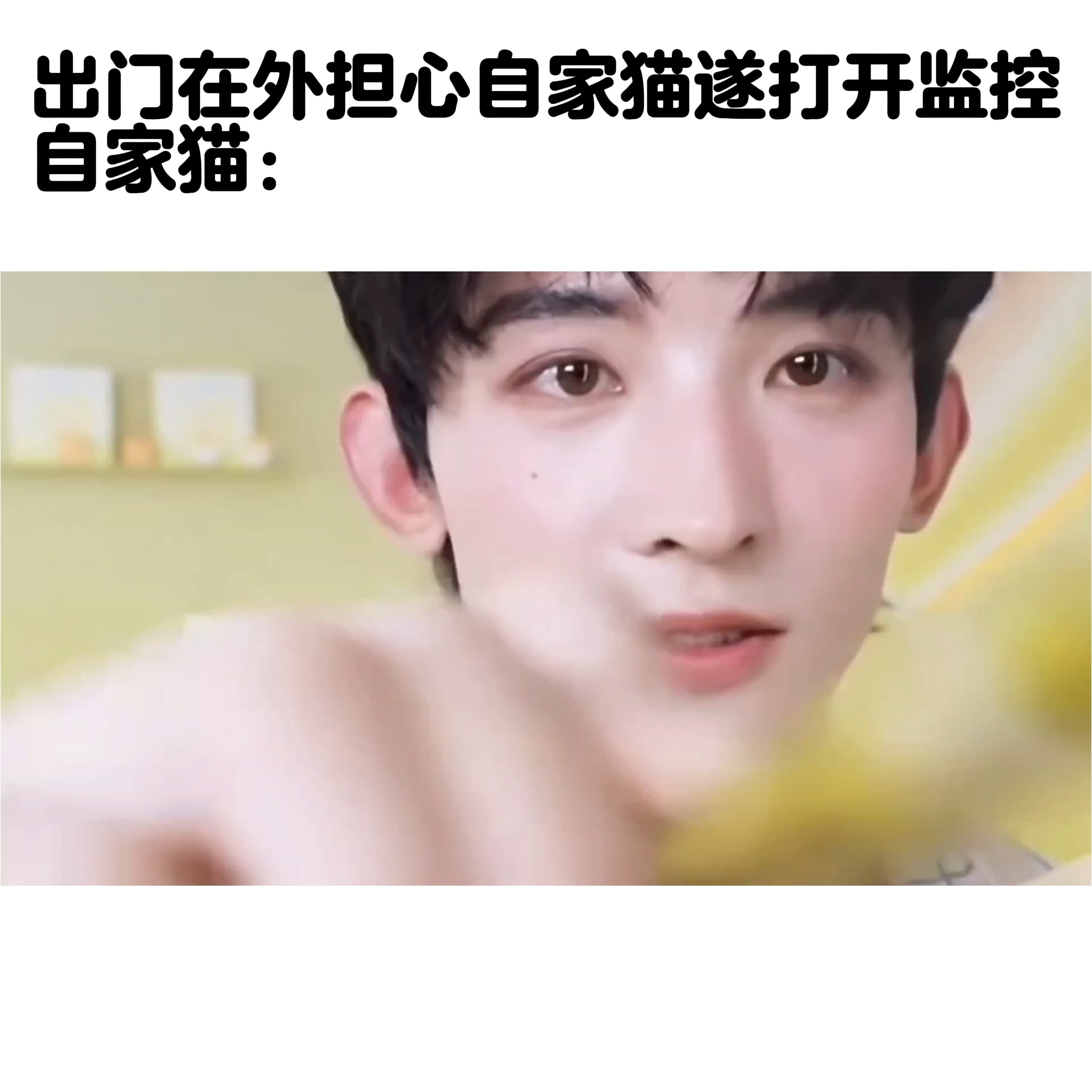 我觉得我家猫特别乖啊特别乖 