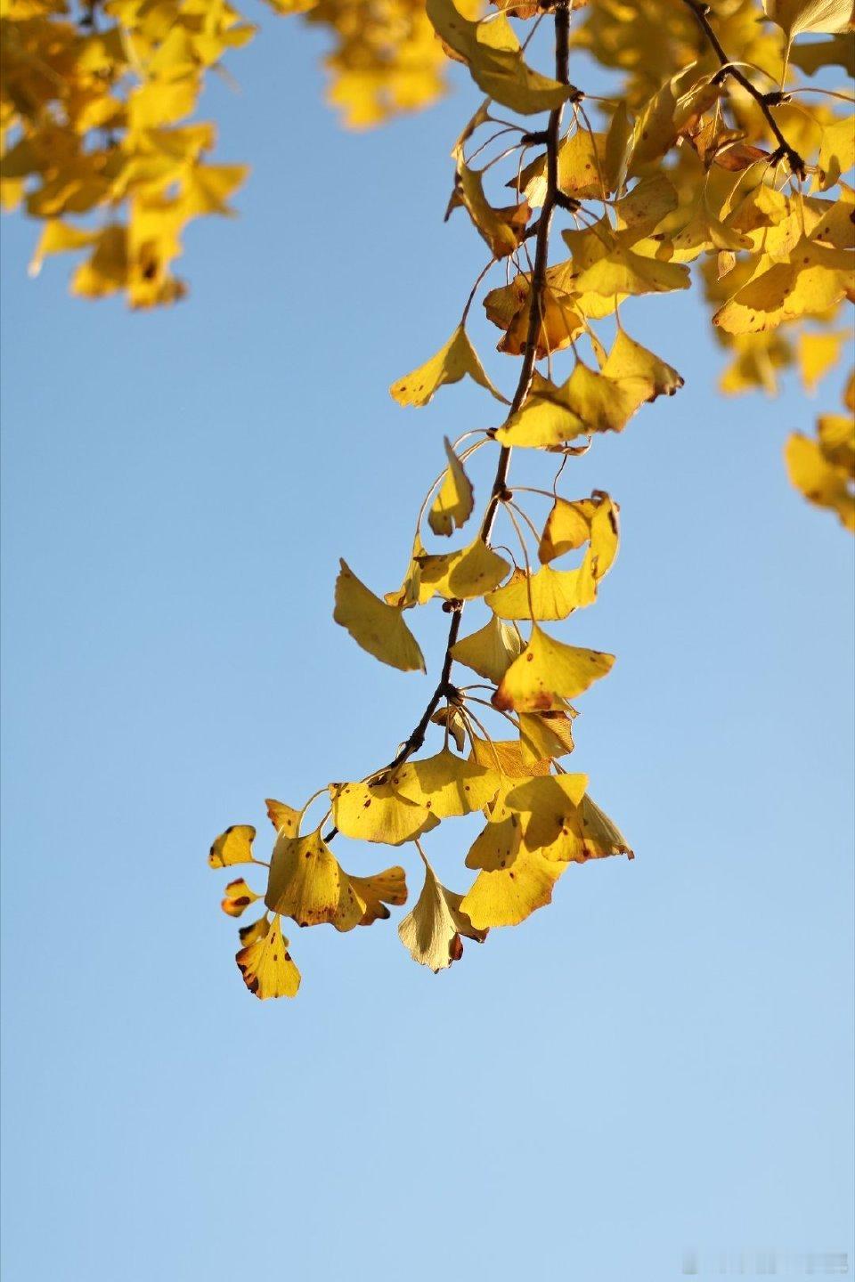 晨光不迟，希望常在。新程启，时光为证，元气满满，早安