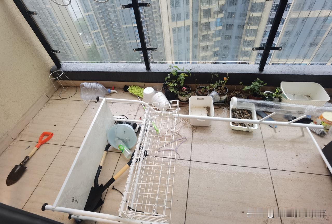 高考前一天，狂风暴雨，电闪雷鸣，这是不是黎明前的黑暗！[捂脸]

今天中午突然骤