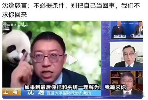 沈逸教授怒言警告台湾某些人，不必提条件，别太把自己当回事了，我们不会跪求你们回来