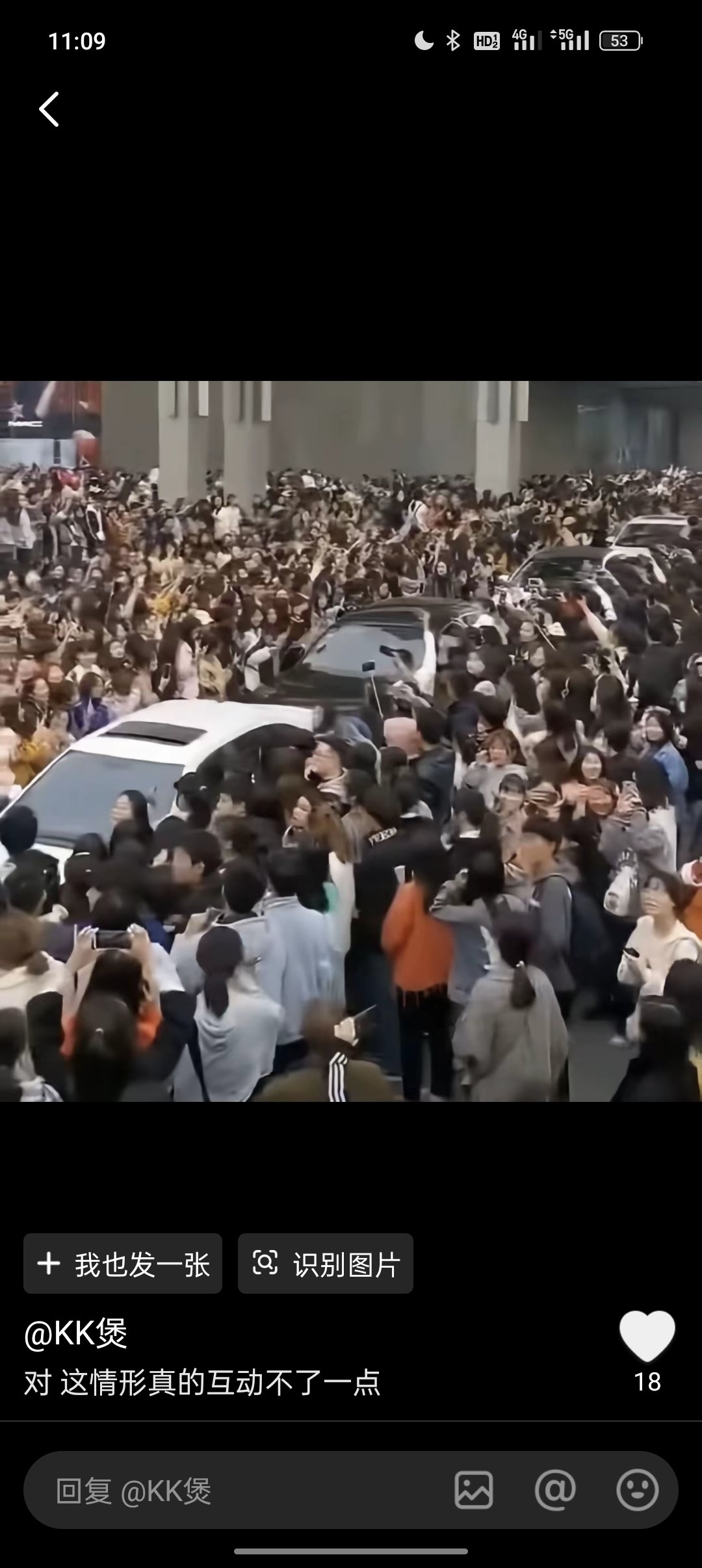 这一条又火了 莲儿就这样永远正向出圈 