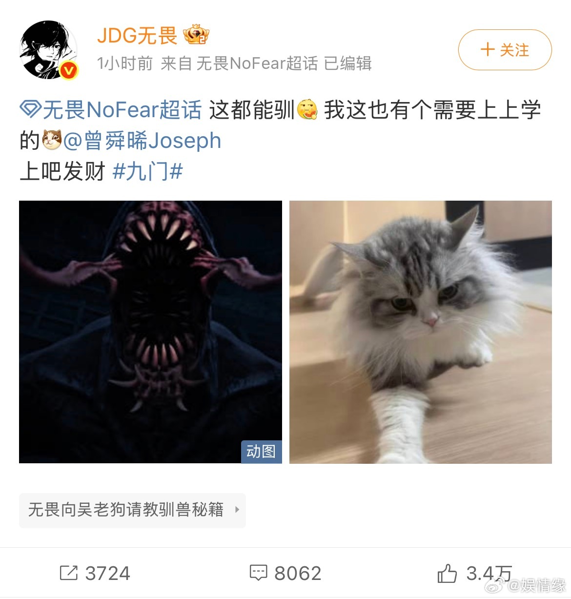 无畏在线驯猫喊话曾舜晞替曾舜晞隔空接下驯猫任务本来以为是简简单单撸猫直播，结果变