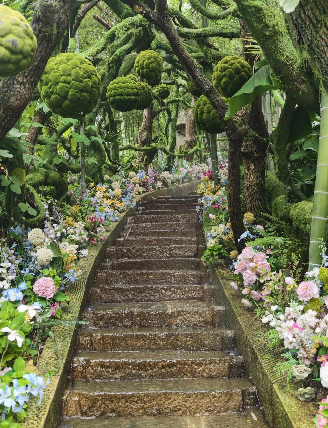 杭州山野秘境｜闯入开满花的森林阶梯🌿
鹿野森谷 杭州周末去哪儿 杭州周边游江浙