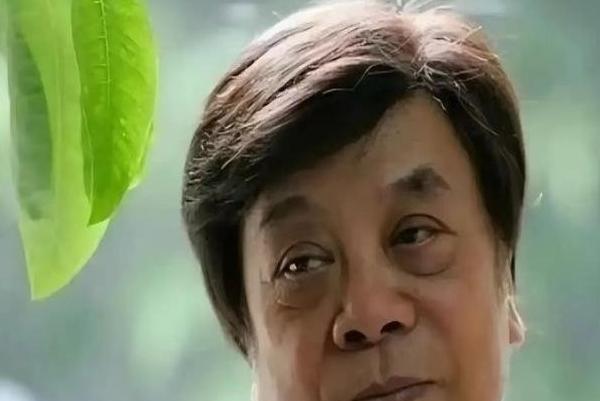 “中美关系恶化的责任不在美国，中国应该看看自己的问题！”这句话出自中国教授胡伟之