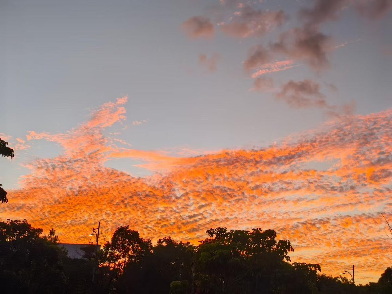 我在人间贩卖黄昏