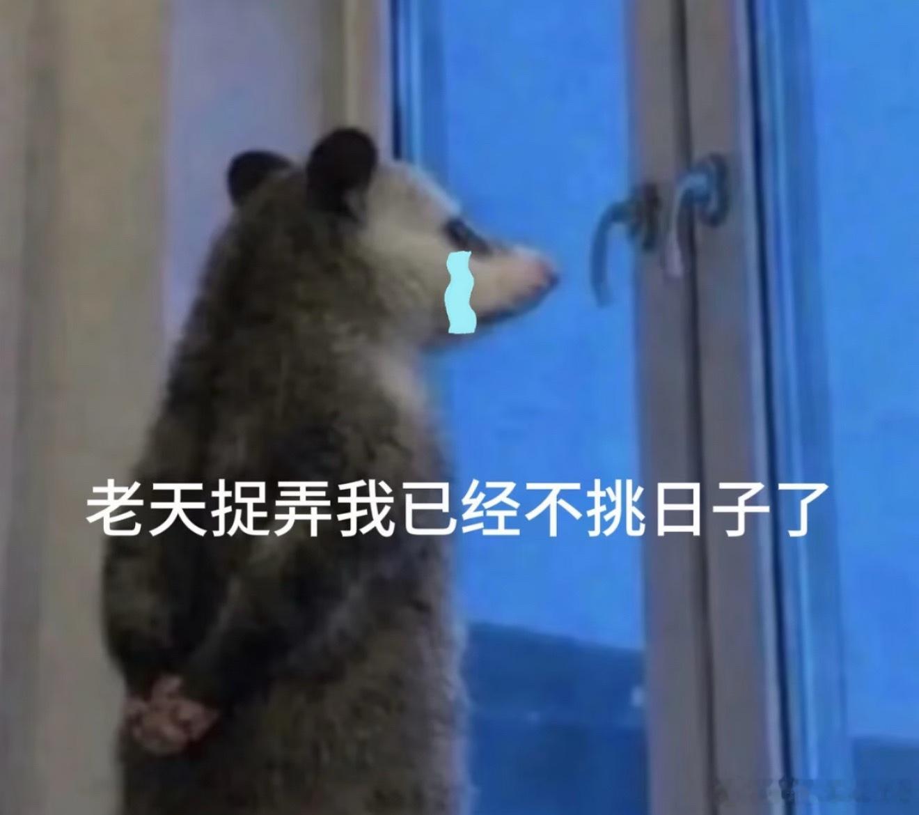 睫毛没把自己当异物主要是有时候根本擦不出来！翻眼皮也找不到，越琢磨越慌，导致我小