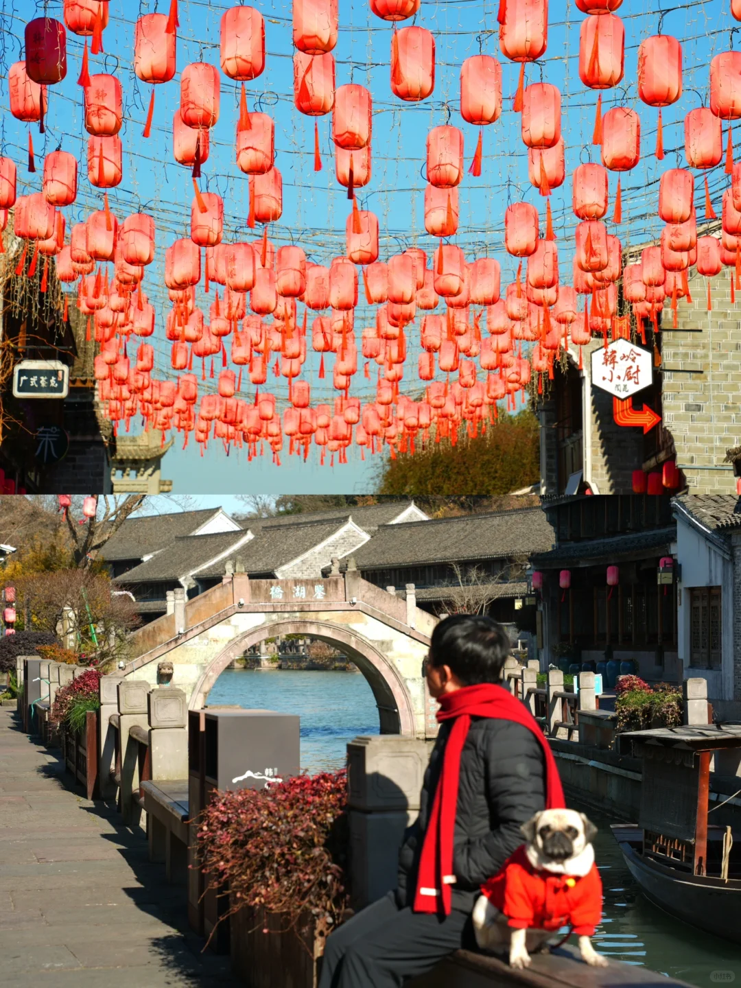 带着狗狗去宁波❗️2天1夜提前感受年味