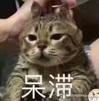夜幕之下游戏夜幕之下 听说此游里的男角色都是GB？私语里都是GB向…是真的吗？ 