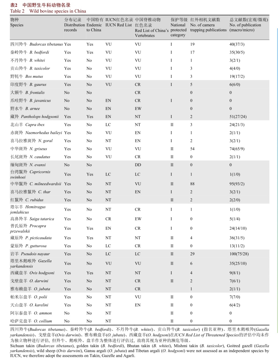 #原来藏羚羊是牛科动物#别说藏羚羊，好多好多的野生羊都是牛科动物！牛科动物的角是