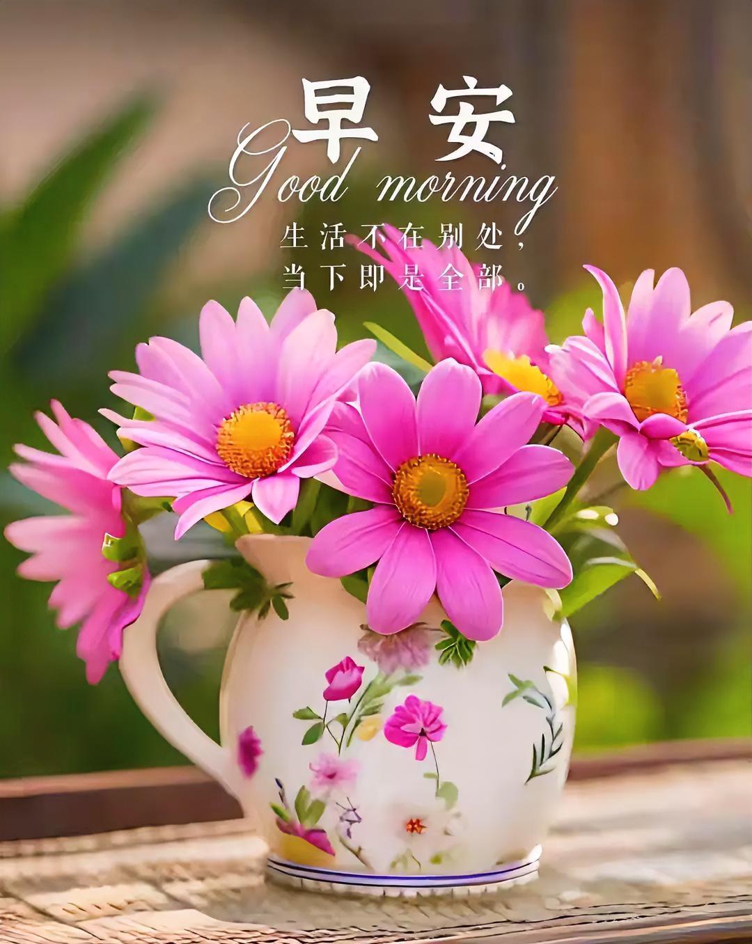 早安！生活不在远方，珍惜当下每一刻。