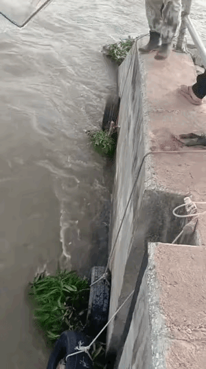 完了，
这条河的未来已经被捉了，
这条河，已经没希望了。