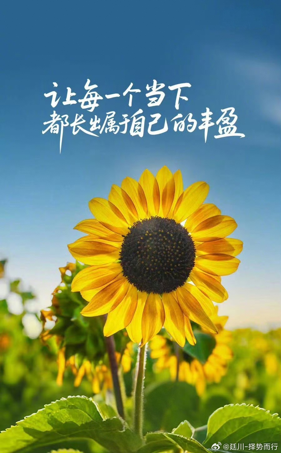 周一就位，告别闲散周末，开启全新工作日模式。保持平常心，劳逸结合，忙时专注做事，