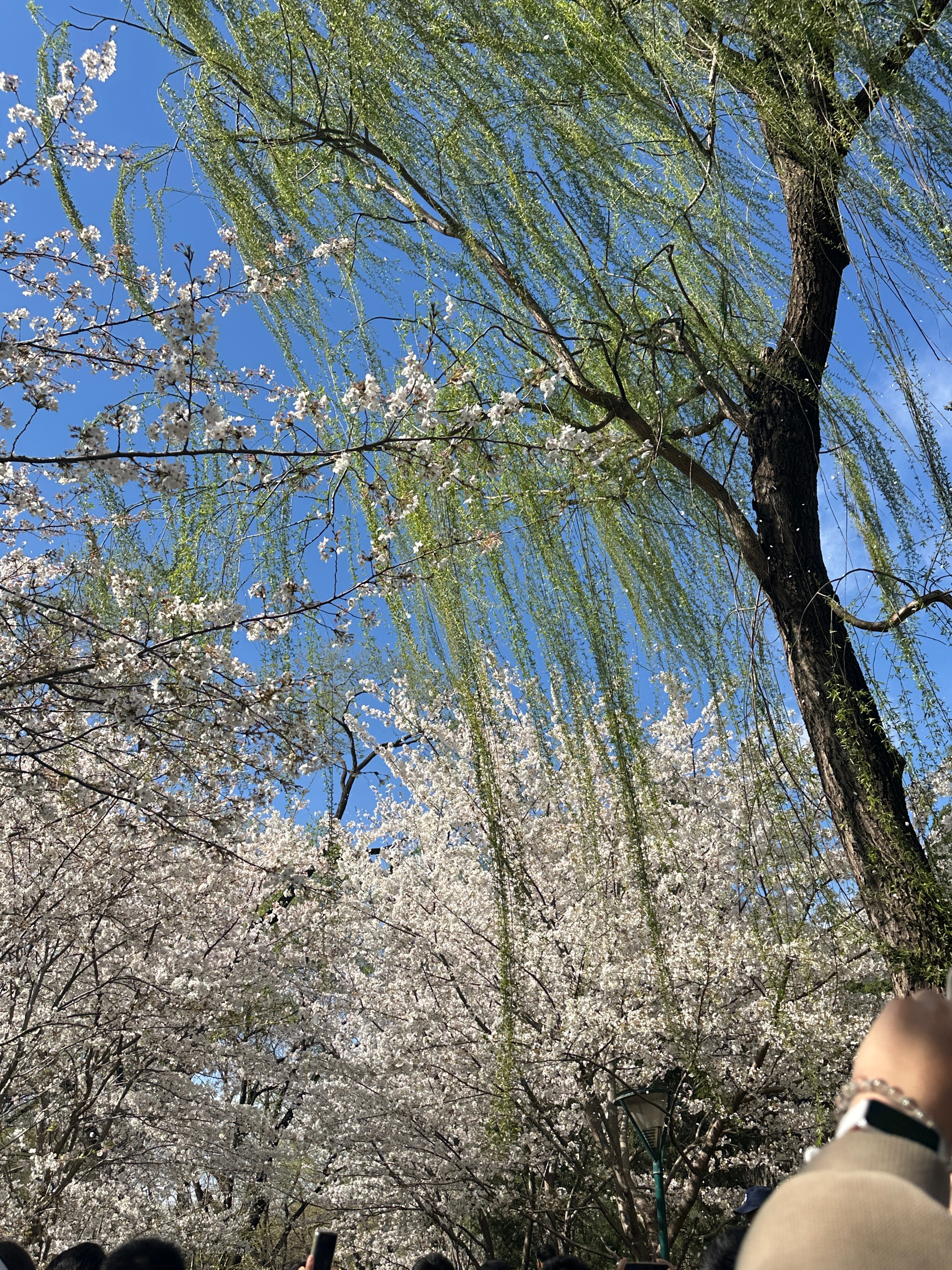 0000自己的命运从来都是掌握在自己的手中，好生活在于进取，也在于知足。做自己喜
