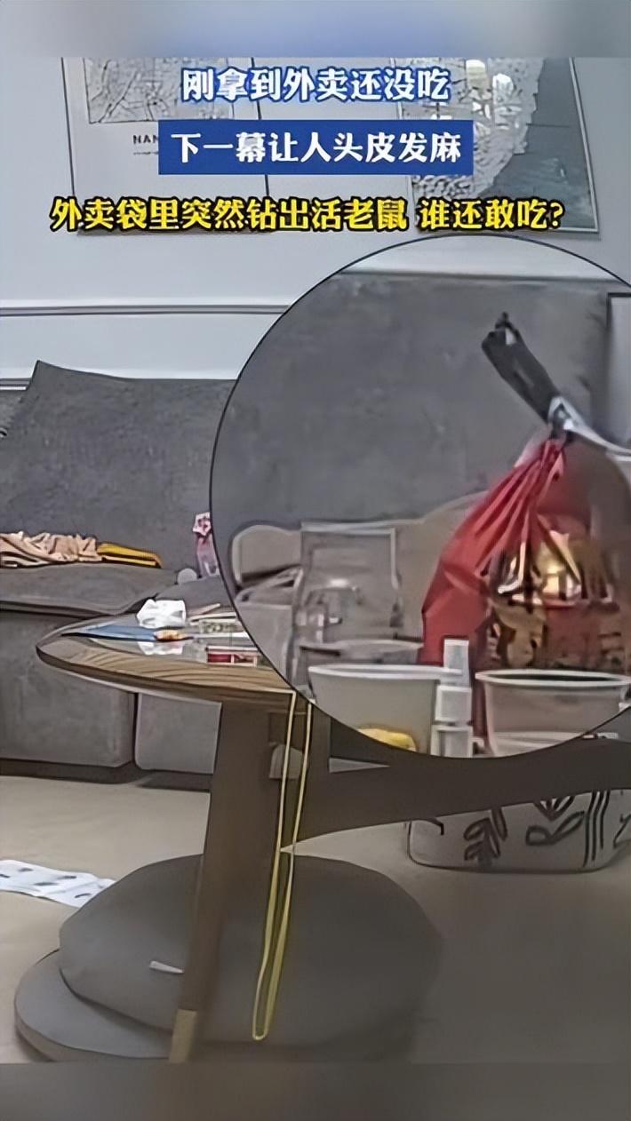 外卖一口没吃，活老鼠从餐袋窜出！顾客心软不曝光，原因太通透。

近日，河南一位李