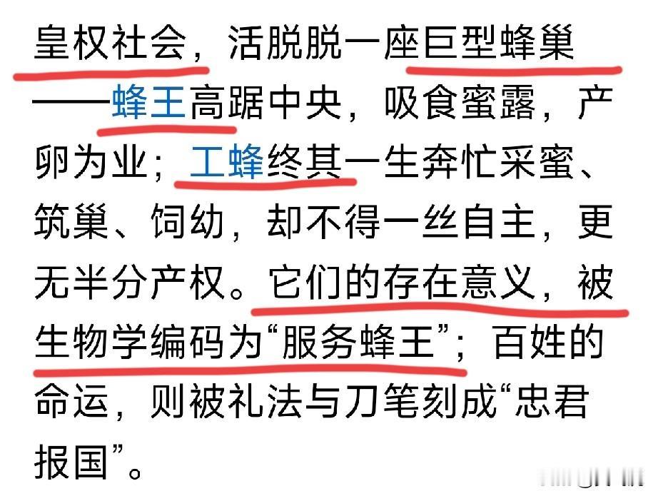 皇权专制统治
就犹如巨型蜂巢[灵光一闪]