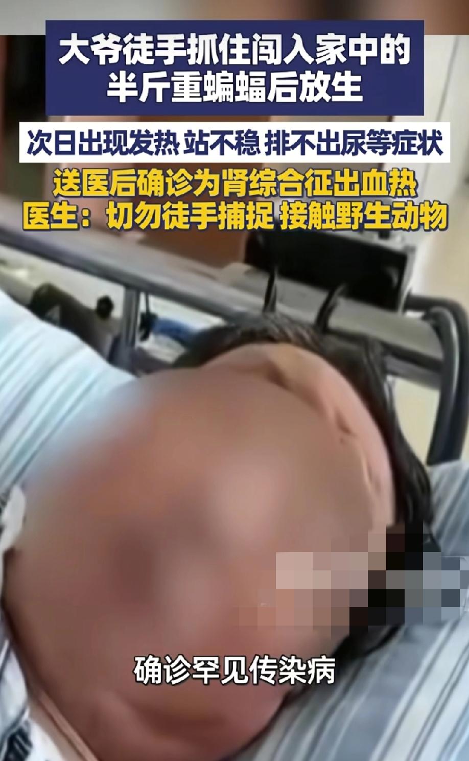 "真吓人啊！"5月7日大象新闻报道，安徽巢湖一位67岁大爷，家里飞进一只蝙蝠。他