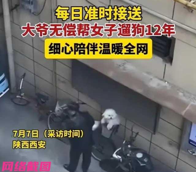 陕西西安有大爷帮女子遛狗，事出背后原因，过去大爷也有一只爱犬，但大爷后因狗狗去世