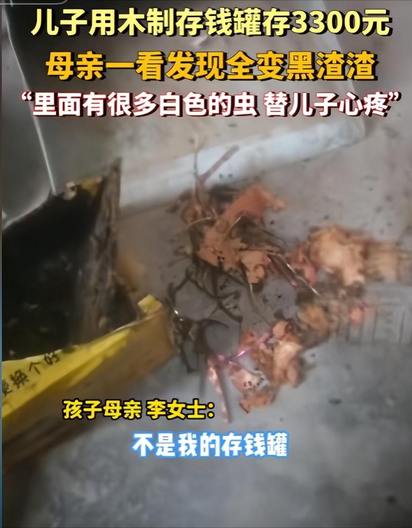 11月25日，湖北，男孩在木制存钱罐内辛苦攒了3300元，每天都不舍得花，母亲无