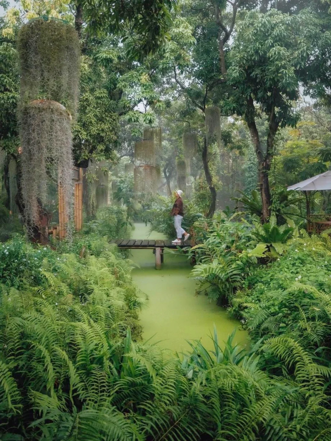隐藏在曼谷市区的室外桃源🍃现实版绿野仙踪