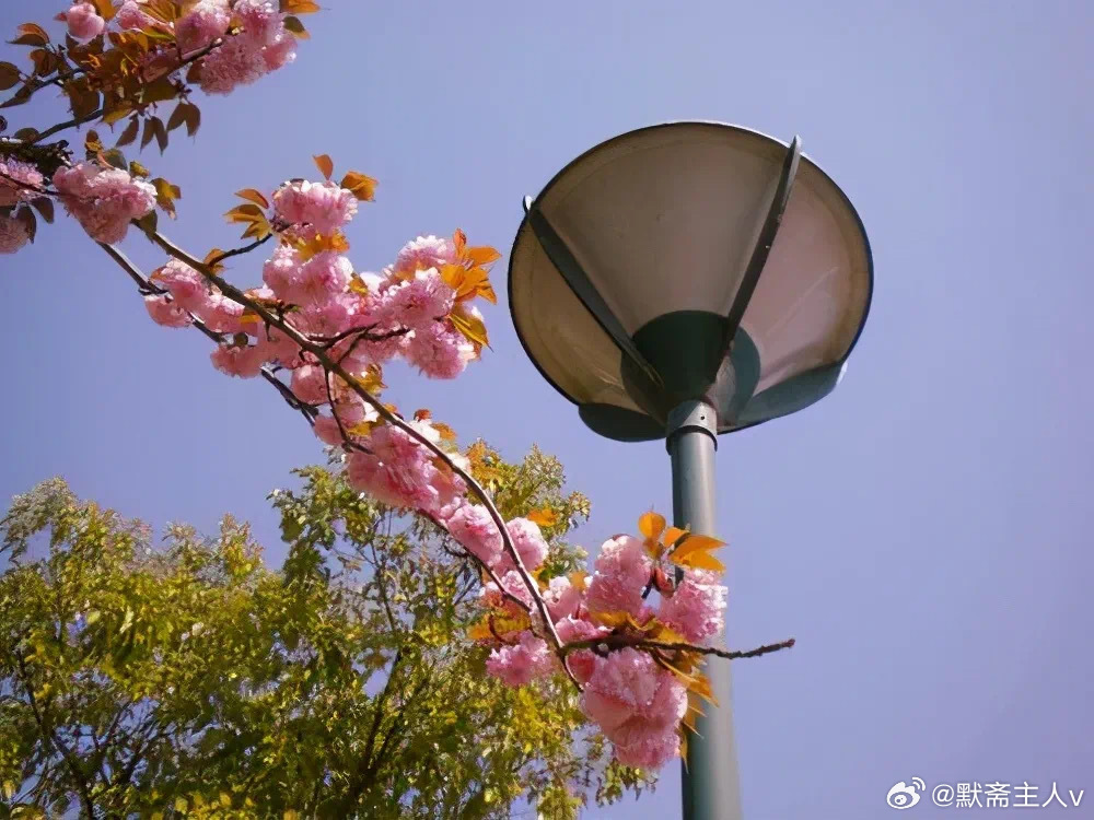 换心•默斋主人原创自由诗莫待井源枯竭才思掘一汪清泉人情薄如素纸，一旦寒凉浸透便再