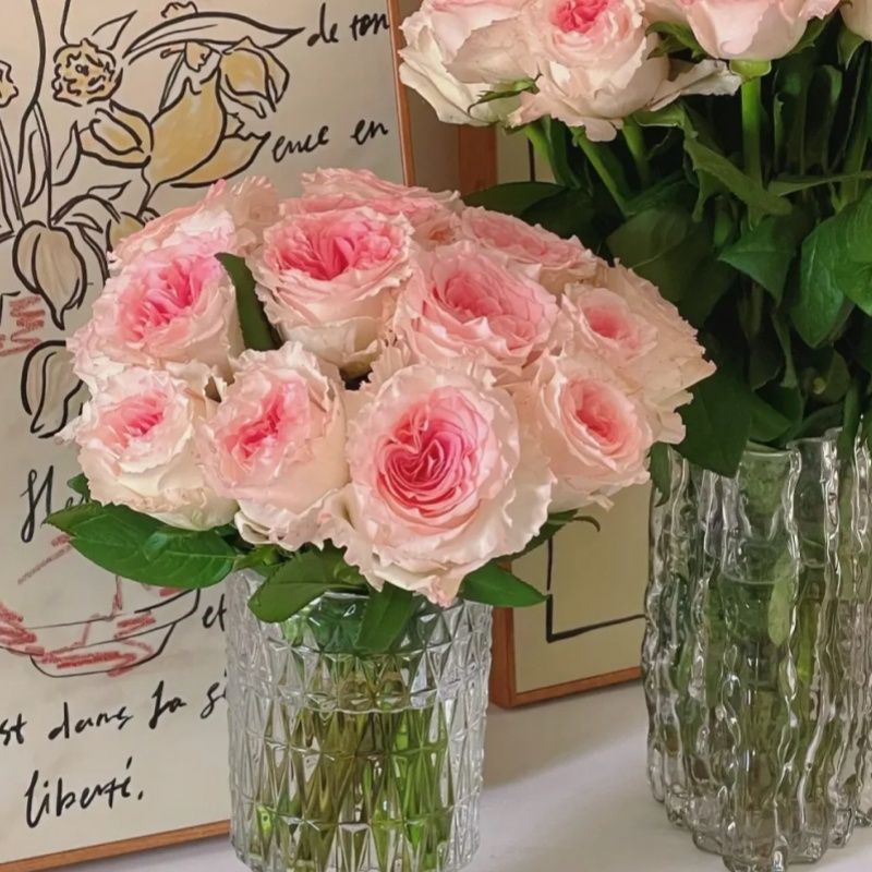 买洛神还是艾莎 