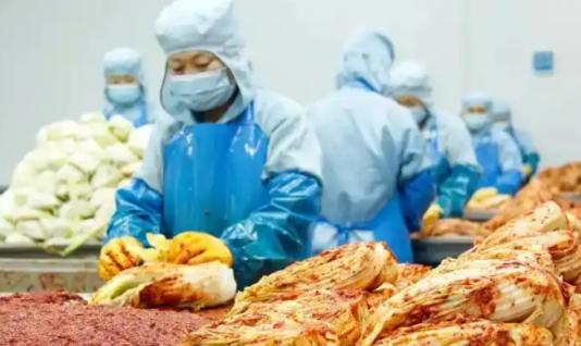 “中国要被我们拖垮了！”2024年，韩国上千人拒绝食用从中国进口的白菜，想给中国