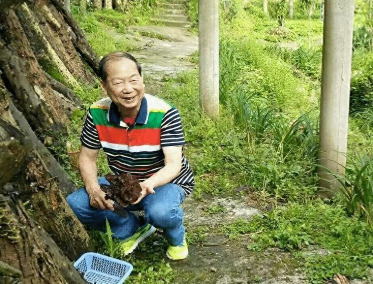 广东七大高寿明星，猜猜谁最老？竟然88岁了嘛！
广东娱乐圈啊，真的是有不少长寿又