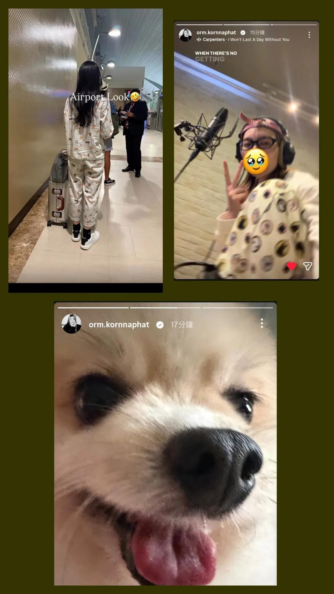 小狗是这个小狗哦 ​​​