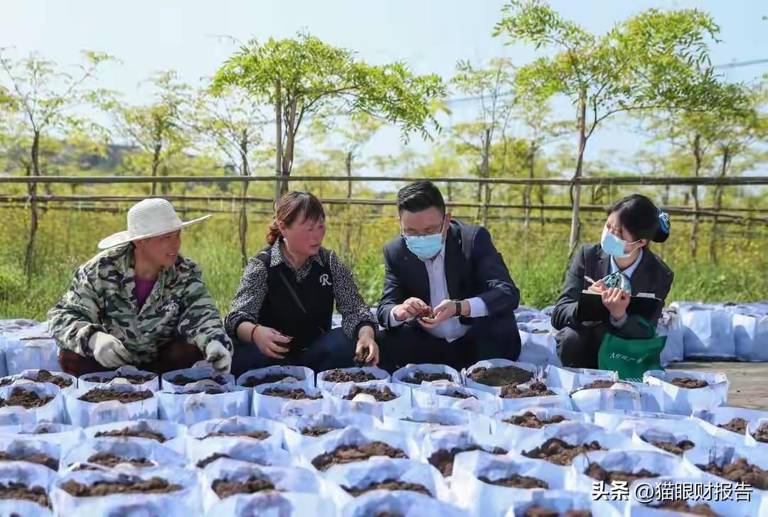 你发现没有？这两年，身边很多地方的朋友都在说同一个字：紧。

不是那种偶尔手头紧