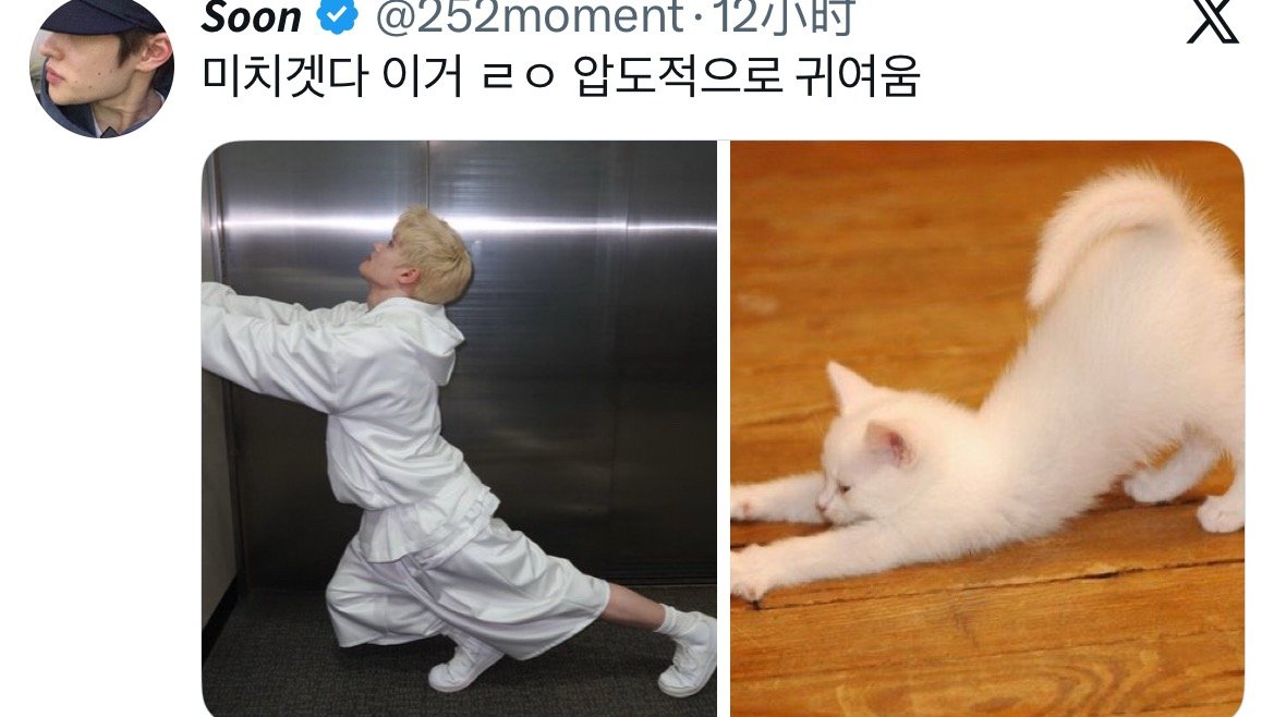 柔软炤咪🐈 