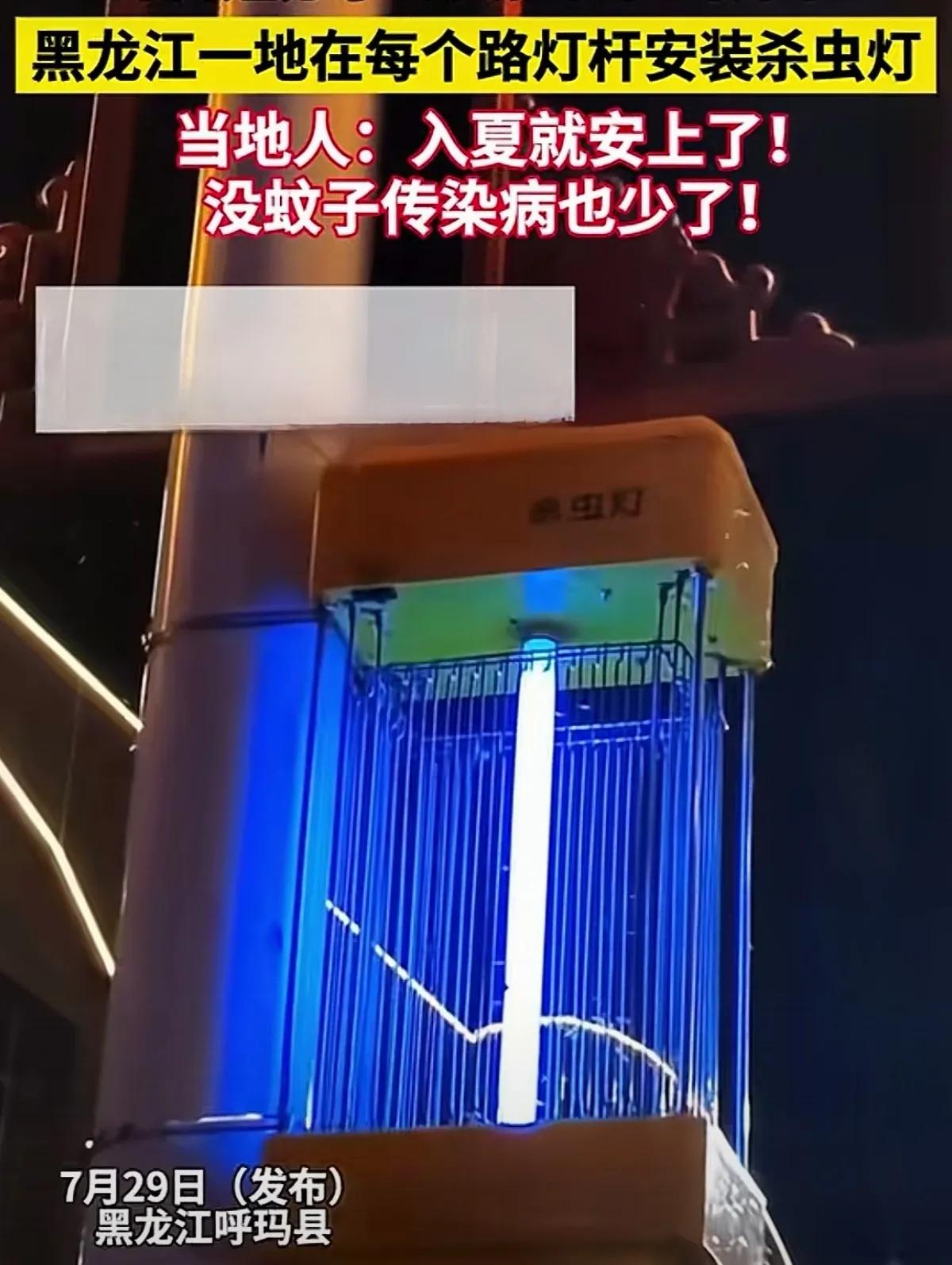 好，真好，必须点赞！虽然身处东北，财政也不宽裕，但是呼玛县能够给每盏路灯加装灭蚊