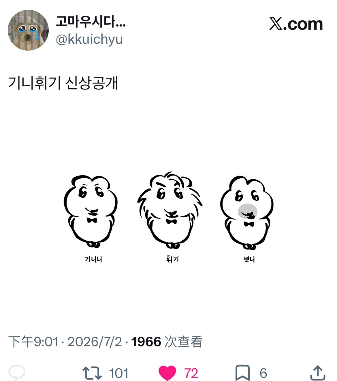 我最爱看的豚鼠表情包第一次介绍了名字 太萌基尼尼 辉基 啵尼🥺🥺🥺 