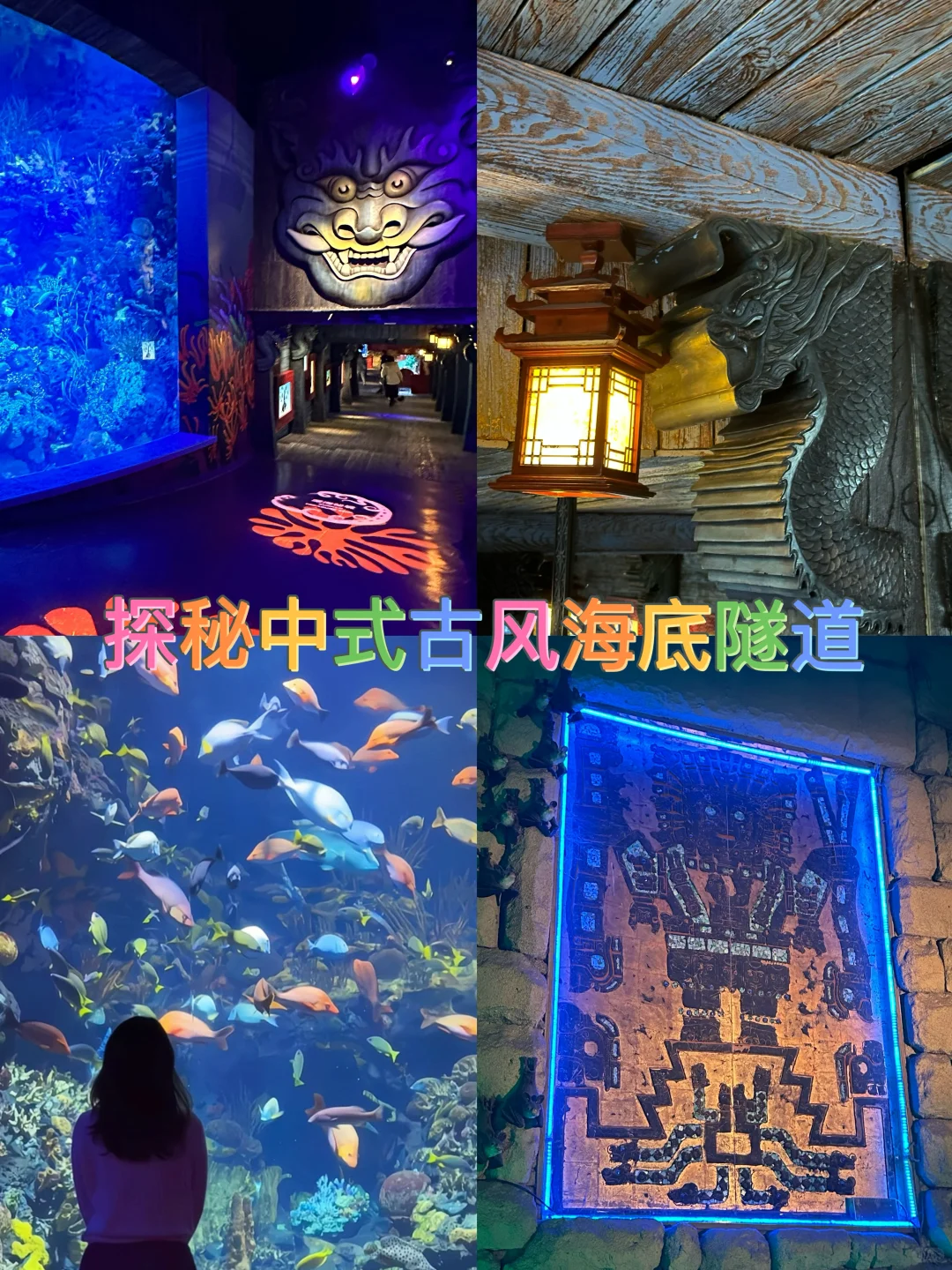 上海长风海洋世界｜探索海底隧道古迹的奥秘