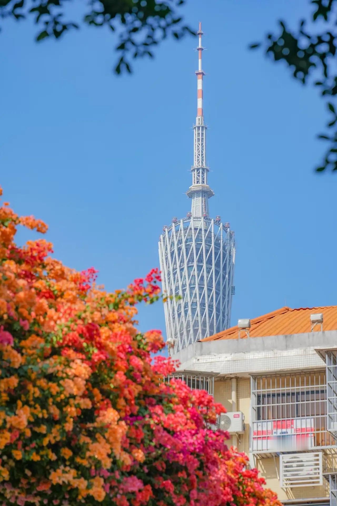 快讯！2026年广州二模分数线公布！物理类：985级609，211线589，特控