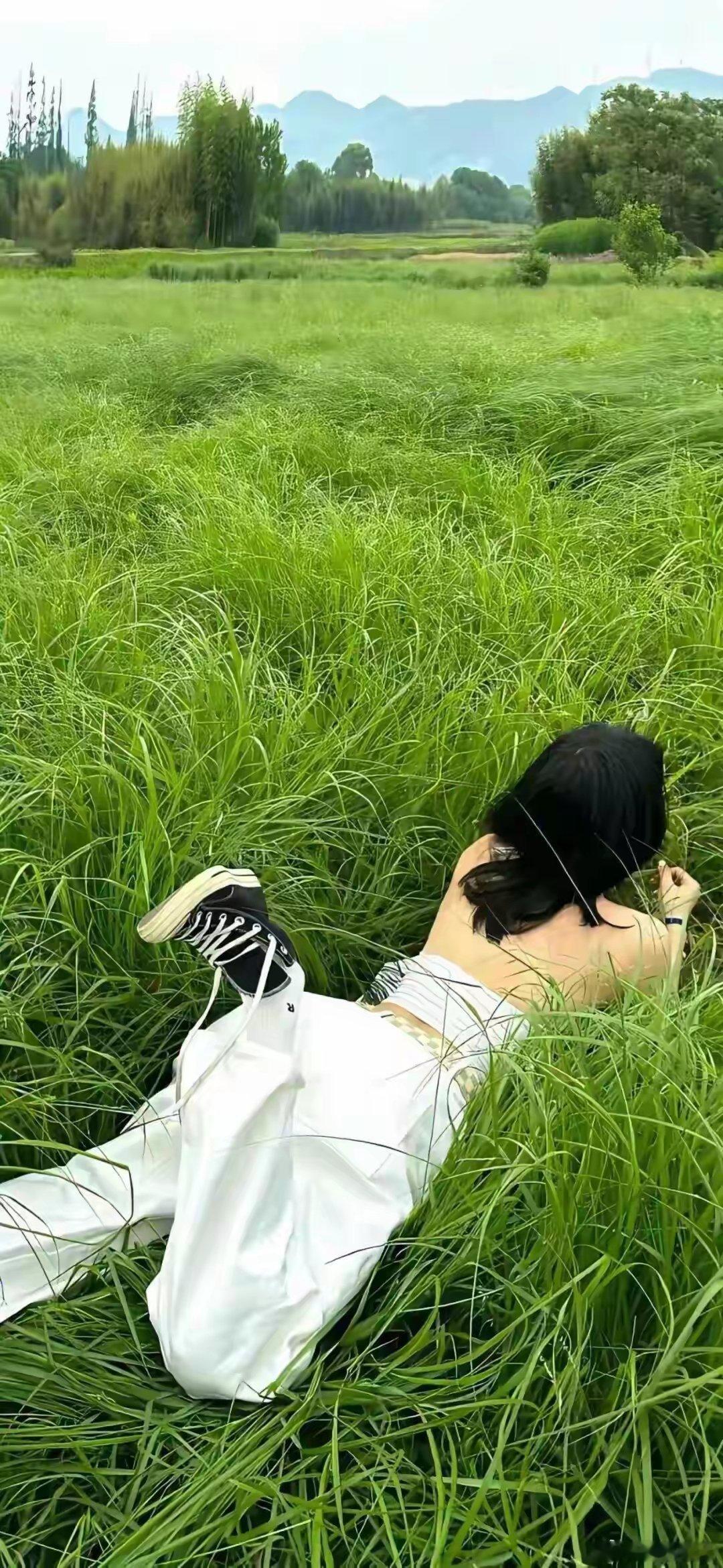 各位老铁早上好！