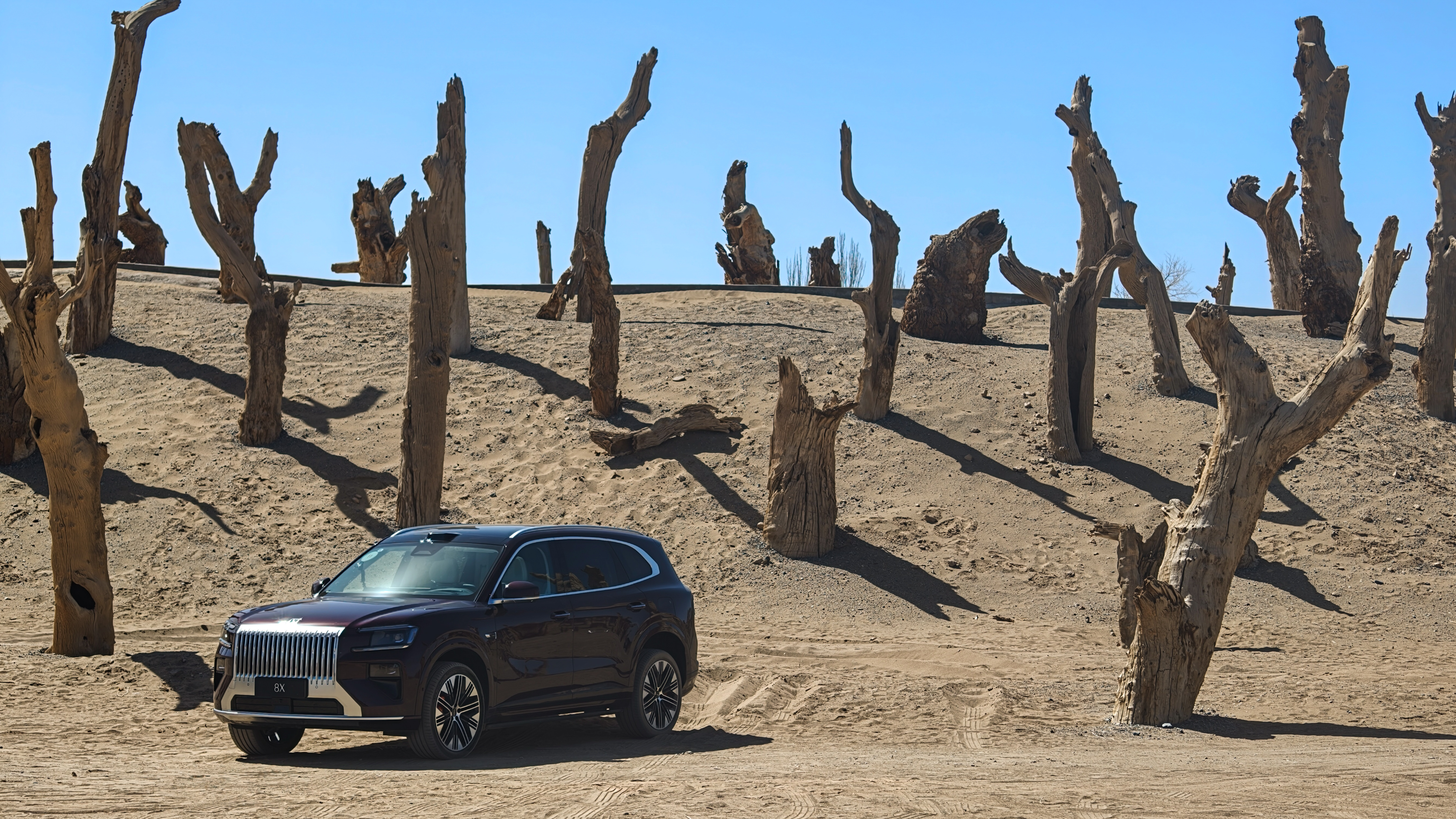 今天能见度不错，除了能见到胡杨林外，三危山外的祁连山脉也是清清楚楚！戈壁 沙漠 